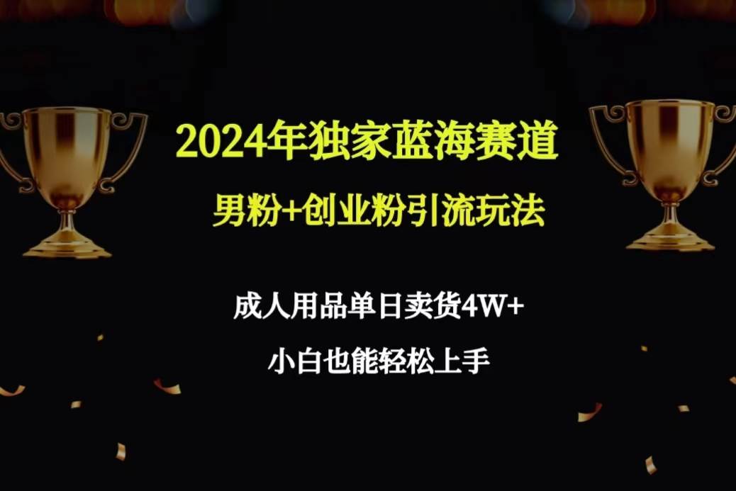 （9112期）2024年独家蓝海赛道男粉+创业粉引流玩法，成人用品单日卖货4W+保姆教程-三石资源库