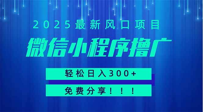 （14375期）微信小程序撸广，最新风口项目，日入300+ 免费分享 可批量操作 小白可…-三石资源库
