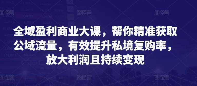 全域盈利商业大课，帮你精准获取公域流量，有效提升私境复购率，放大利润且持续变现-三石资源库