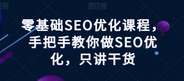 零基础SEO优化课程，手把手教你做SEO优化，只讲干货-三石资源库