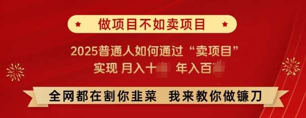 必看，做项目不如卖项目，2025普通人如何通过“卖项目”实现月入十个，年入百个-三石资源库