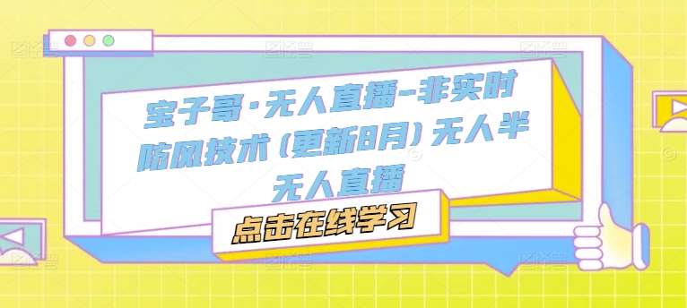宝子哥·无人直播-非实时防风技术(更新8月)无人半无人直播-三石淘金网