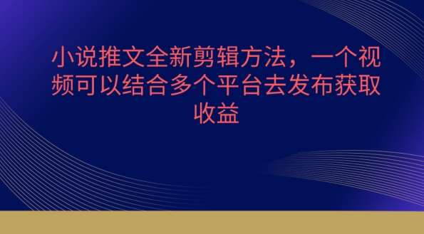 小说推文全新剪辑方法，一个视频可以结合多个平台去发布获取【揭秘】-三石资源库