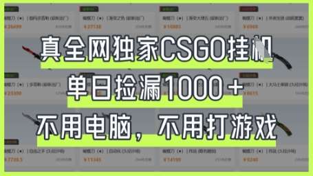 真全网独家CSGO挂G，单日捡漏1k+【揭秘】-三石资源库