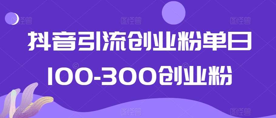 抖音引流创业粉单日100-300创业粉【揭秘】-三石资源库