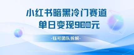 小红书冷门”暗黑”赛道，单日收益多张-三石淘金网