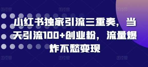 小红书独家引流三重奏，当天引流100+创业粉，流量爆炸不愁变现【揭秘】-三石淘金网