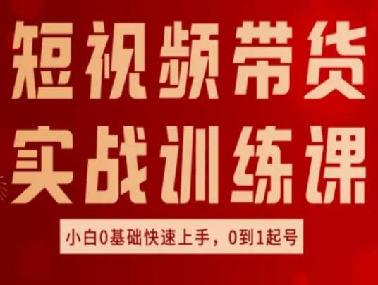 短视频带货实战训练课，好物分享实操，小白0基础快速上手，0到1起号-三石资源库