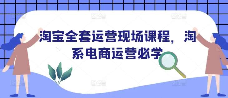 淘宝全套运营现场课程，淘系电商运营必学-三石淘金网