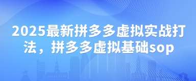 2025最新拼多多虚拟实战打法，拼多多虚拟基础sop-三石资源库