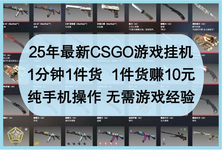 25年最新CSGO游戏挂机，1分钟1件货，1件货赚10元，纯手机操作，无需游戏经验-三石资源库