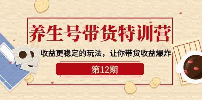 养生号带货特训营【12期】收益更稳定的玩法，让你带货收益爆炸（9节直播课）-三石淘金网