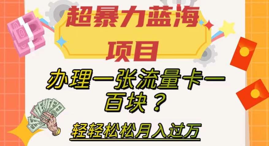 超暴力蓝海项目，办理一张流量卡一百块？轻轻松松月入过万，保姆级教程【揭秘】-三石资源库