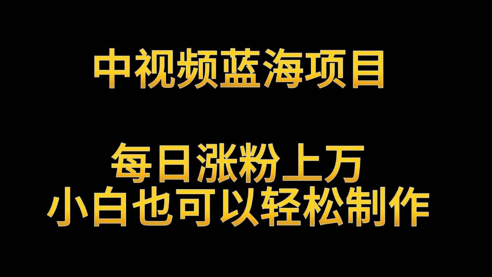 中视频蓝海项目，解读英雄人物生平，每日涨粉上万，小白也可以轻松制作，月入过万-三石资源库