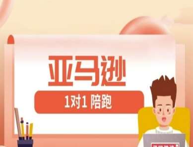 亚马逊1对1陪跑课(FBA/FBM精铺)跨境亚马逊教程-三石资源库