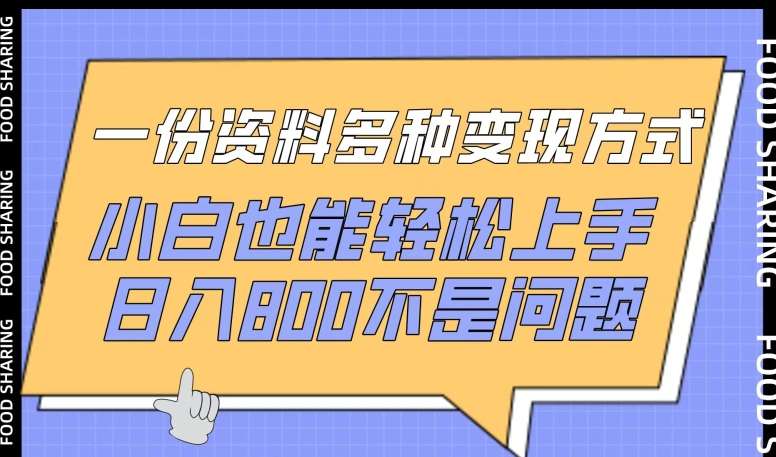 一份资料多种变现方式，小白也能轻松上手，日入800不是问题【揭秘】-三石资源库