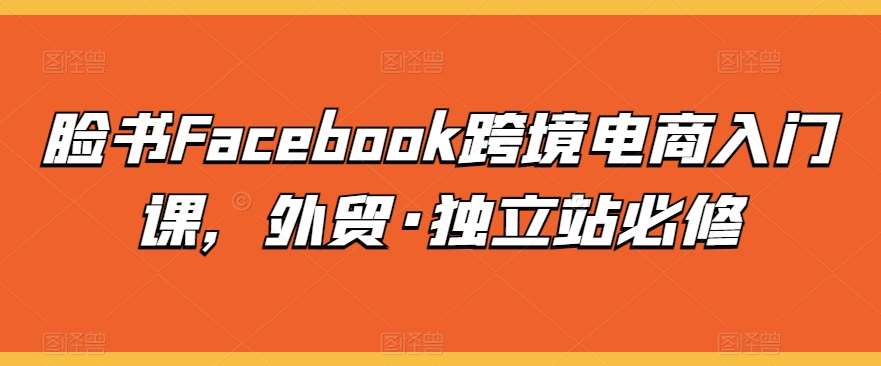 脸书Facebook跨境电商入门课，外贸·独立站必修-三石资源库