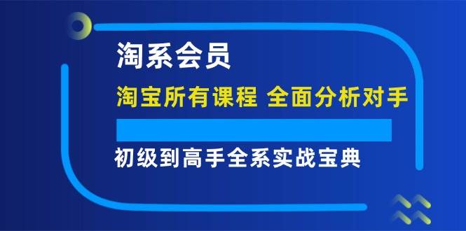 （12055期）淘系会员【淘宝所有课程，全面分析对手】，初级到高手全系实战宝典-三石资源库