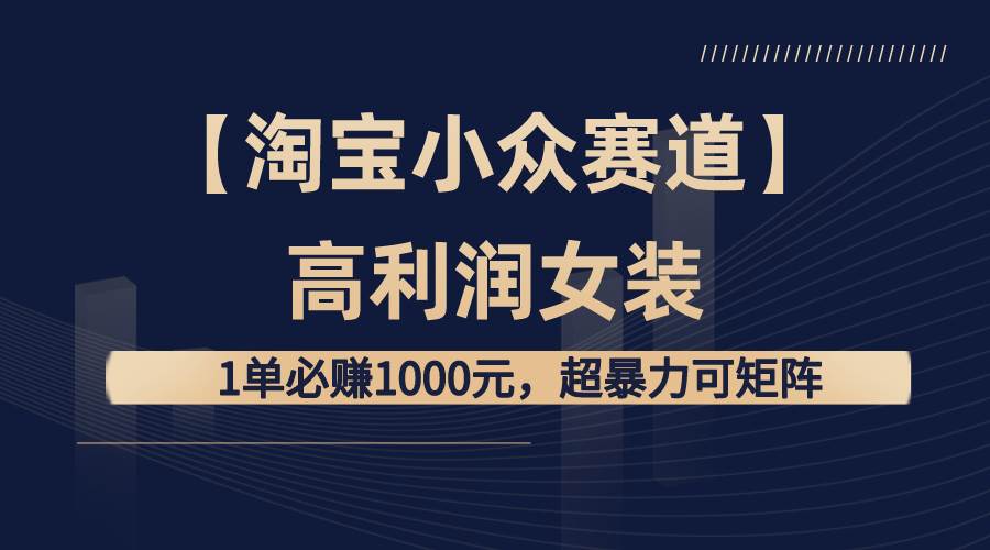 （8608期）【淘宝小众赛道】高利润女装：1单必赚1000元，超暴力可矩阵-三石资源库