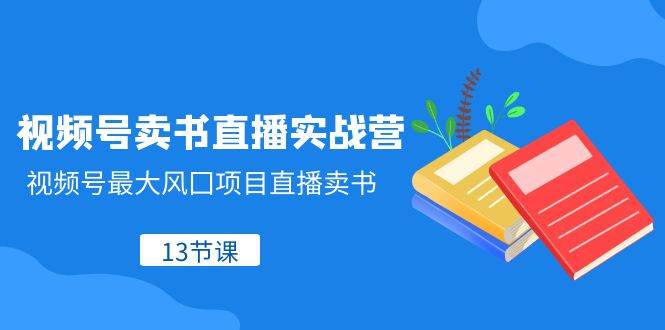 视频号卖书直播实战营，视频号最大风囗项目直播卖书（13节课）-三石资源库