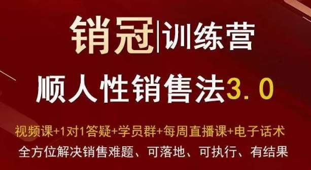 爆款！销冠训练营3.0之顺人性销售法，全方位解决销售难题、可落地、可执行、有结果-三石资源库