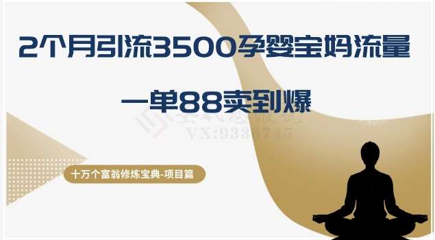 十万个富翁修炼宝典之13.2个月引流3500孕婴宝妈流量，一单88卖到爆-三石淘金网