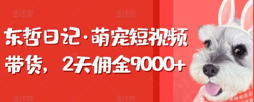 东哲日记·萌宠短视频带货，2天佣金9000+-三石资源库