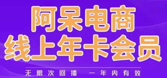阿呆电商线上年会员，阿呆电商干货分享（更新中）-三石淘金网