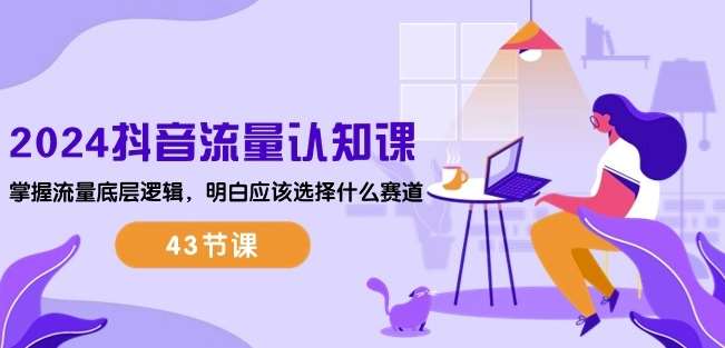 2024抖音流量认知课：掌握流量底层逻辑，明白应该选择什么赛道 (43节课)-三石淘金网
