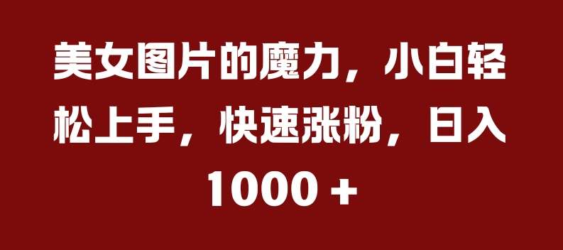 美女图片的魔力，小白轻松上手，快速涨粉，日入几张【揭秘】-三石资源库