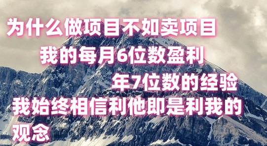 做项目不如卖项目，每月6位数盈利，年7位数经验-三石资源库