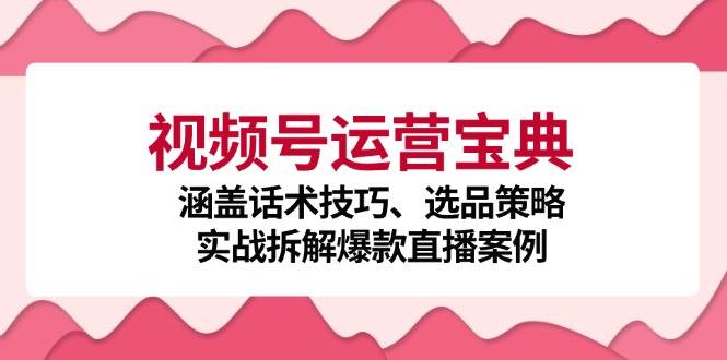 视频号运营宝典：涵盖话术技巧、选品策略、实战拆解爆款直播案例-三石资源库