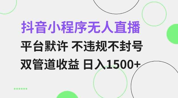 抖音小程序无人直播 平台默许 不违规不封号 双管道收益 日入多张 小白也能轻松操作【仅揭秘】-三石资源库