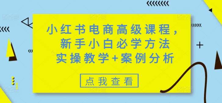 小红书电商高级课程，新手小白必学方法，实操教学+案例分析-三石资源库