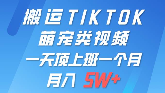 （9931期）一键搬运TIKTOK萌宠类视频 一部手机即可操作 所有平台均可发布 轻松月入5W+-三石淘金网