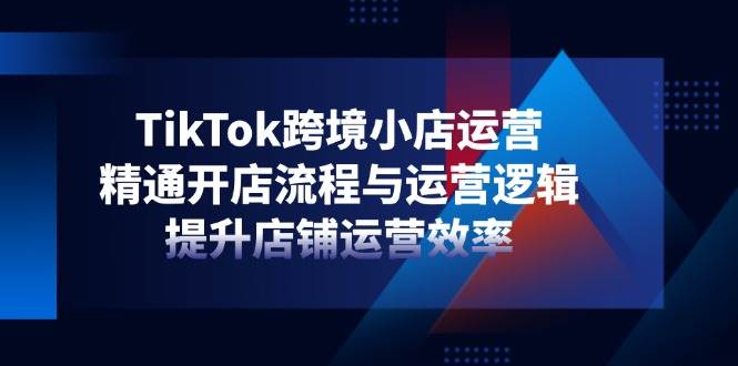 （14369期）TikTok跨境小店运营，精通开店流程与运营逻辑，提升店铺运营效率-三石资源库