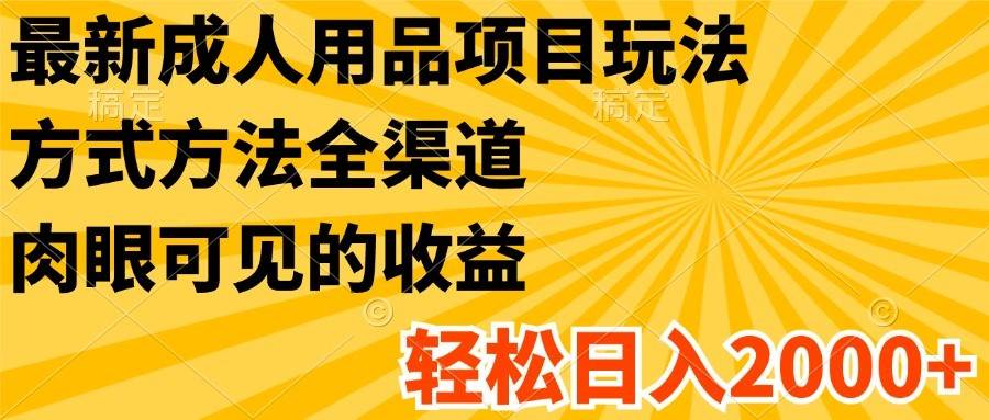 最新成人用品项目玩法，方式方法全渠道，肉眼可见的收益，轻松日入2000+-三石淘金网