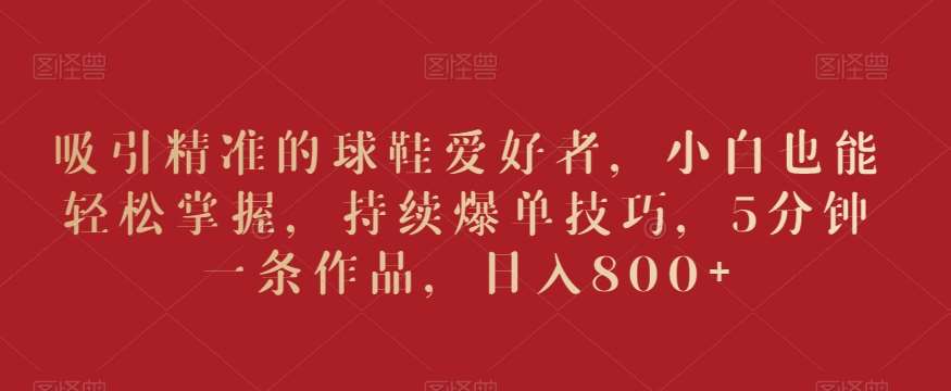 吸引精准的球鞋爱好者，小白也能轻松掌握，持续爆单技巧，5分钟一条作品，日入800+【揭秘】-三石资源库