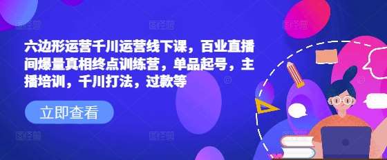 六边形运营千川运营线下课，百业直播间爆量真相终点训练营，单品起号，主播培训，千川打法，过款等-三石淘金网