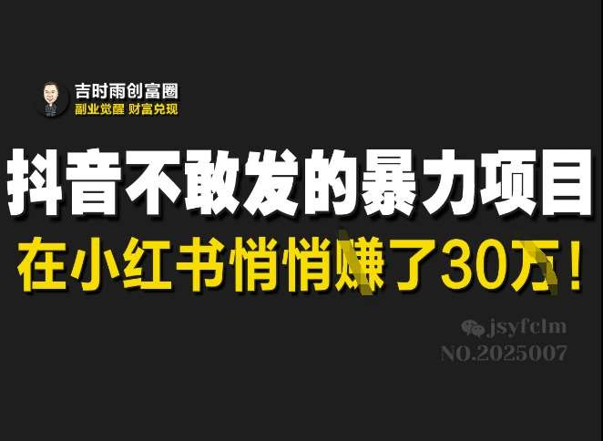 抖音不敢发的暴利项目，在小红书悄悄挣了30W-三石资源库