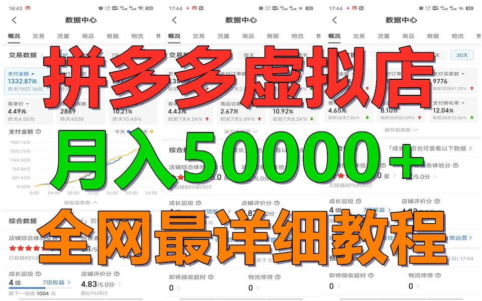 拼多多虚拟电商训练营月入50000+你也行，暴利稳定长久，副业首选-三石资源库