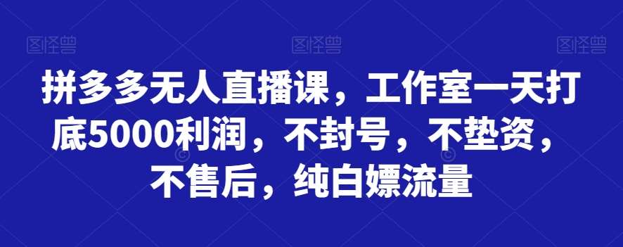 拼多多无人直播课，工作室一天打底5000利润，不封号，不垫资，不售后，纯白嫖流量-三石资源库