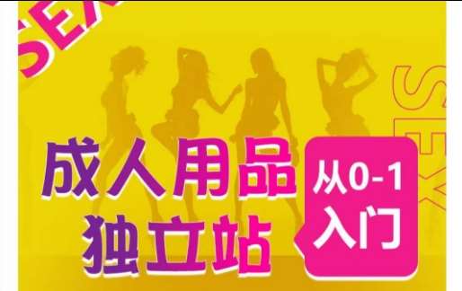 成人用品独立站从0-1入门，成品独立站运营全流程教学，七大好卖成品独立站推荐-三石资源库