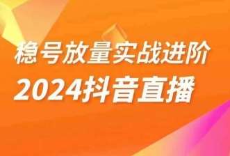 稳号放量实战进阶—2024抖音直播，直播间精细化运营的几大步骤-三石资源库