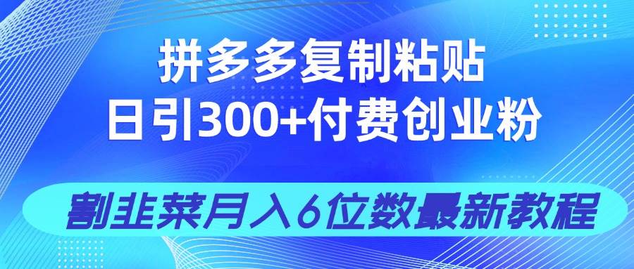 （14232期）拼多多复制粘贴日引300+付费创业粉，割韭菜月入6位数最新教程！-三石资源库