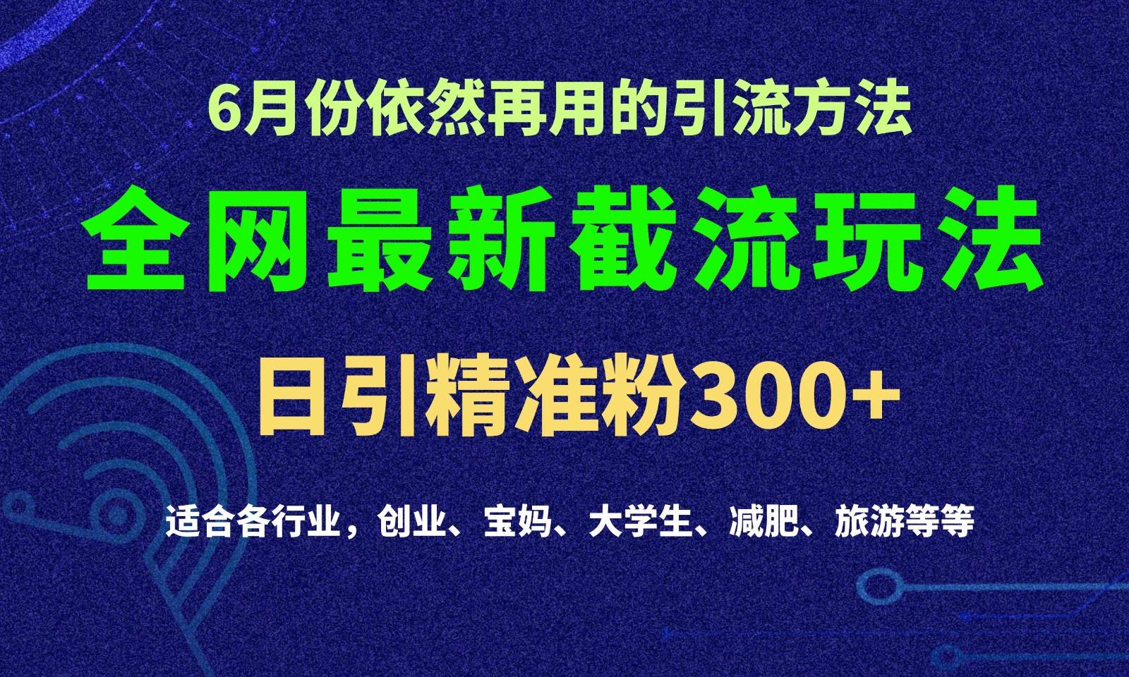 2024全网最新截留玩法，每日引流突破300+-三石资源库