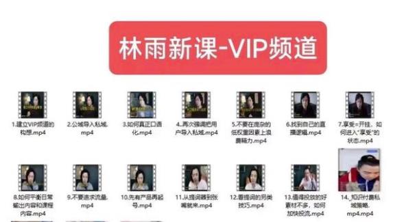 林雨新课VIP频道，玩赚私域/朋友圈/社群-三石资源库