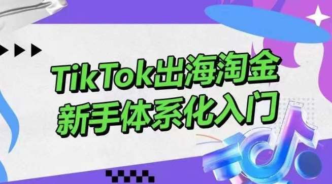 TikTok出海淘金，新手体系化入门，零基础快速入门，掌握短视频、直播带货等引流到变现的知识-三石资源库