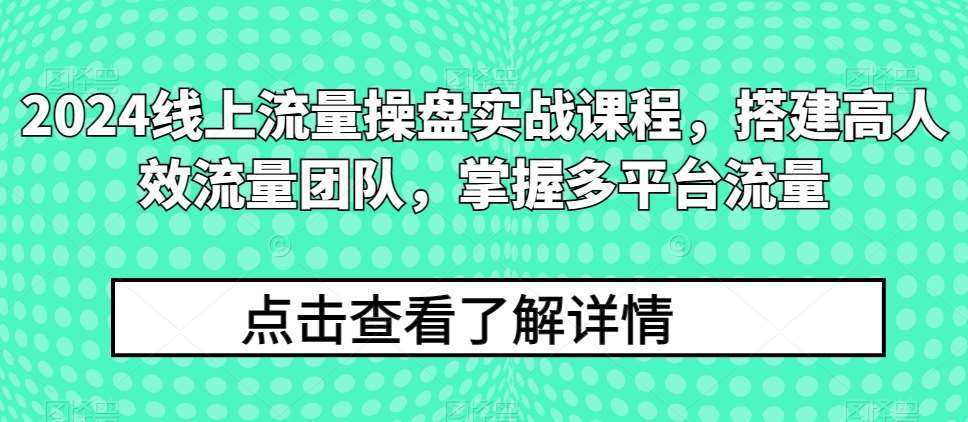 2024线上流量操盘实战课程，搭建高人效流量团队，掌握多平台流量-三石资源库