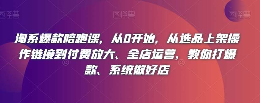 淘系爆款陪跑课，从0开始，从选品上架操作链接到付费放大、全店运营，教你打爆款、系统做好店-三石资源库